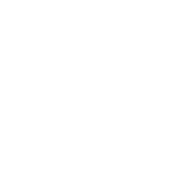 ce logo Turlock